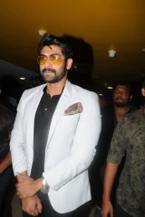 Celebrities at Bruce Lee Movie Premier Show 